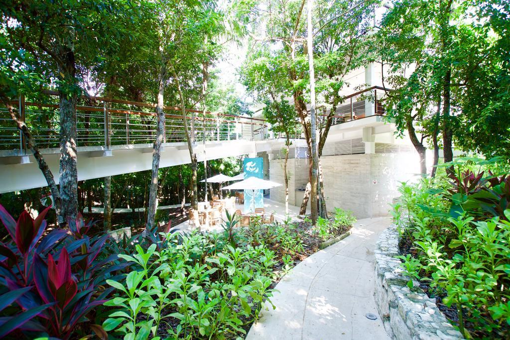 Tao Luxury Condo Mexico 아쿠말 외부 사진